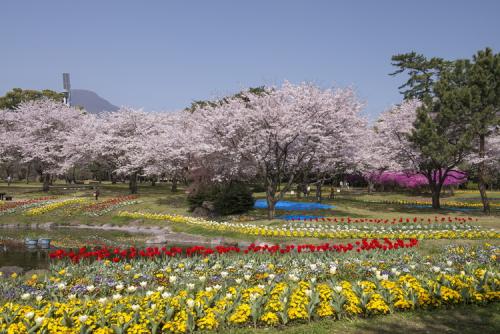 別府公園