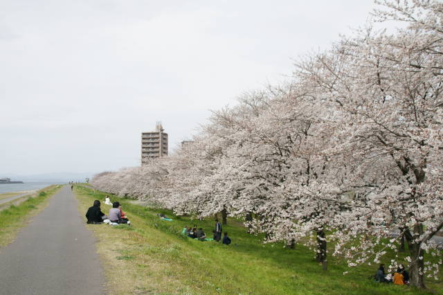 大分川河川敷公園