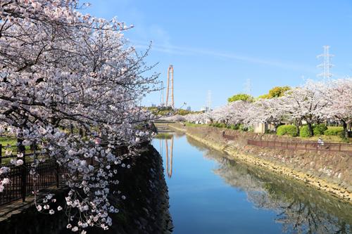 大分市営平和市民公園