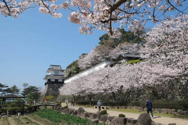 大村桜公園