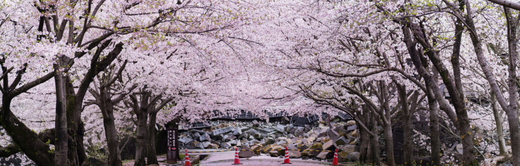 熊本城二の丸公園