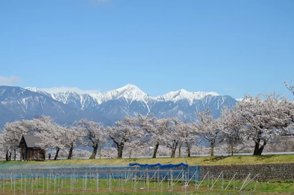 薄川公園