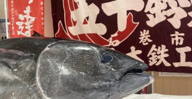 マグロ解体ショー