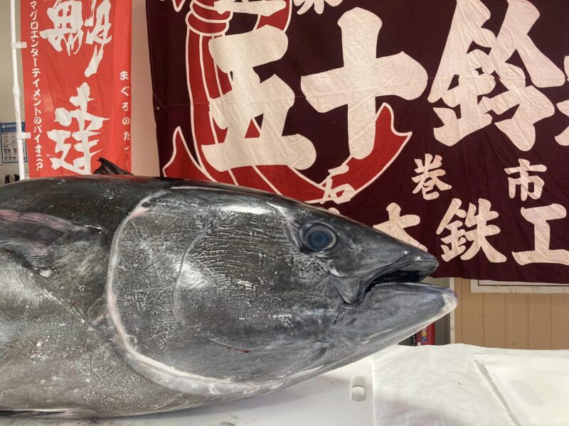 マグロ解体ショー